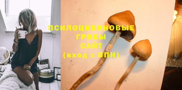 синтетический гашиш Алексеевка
