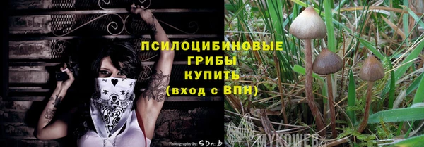 спайс Алзамай