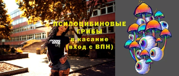 синтетический гашиш Алексеевка