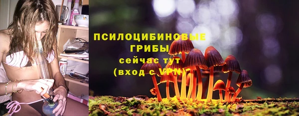 гашик Абдулино