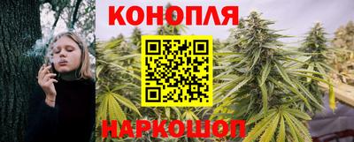бошки Гулькевичи