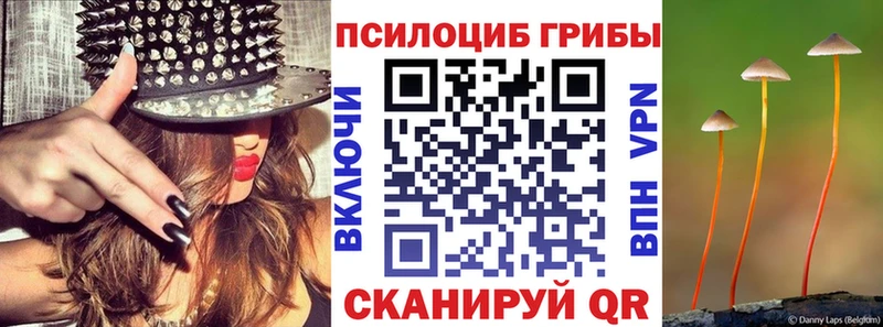 Галлюциногенные грибы GOLDEN TEACHER  Тында 