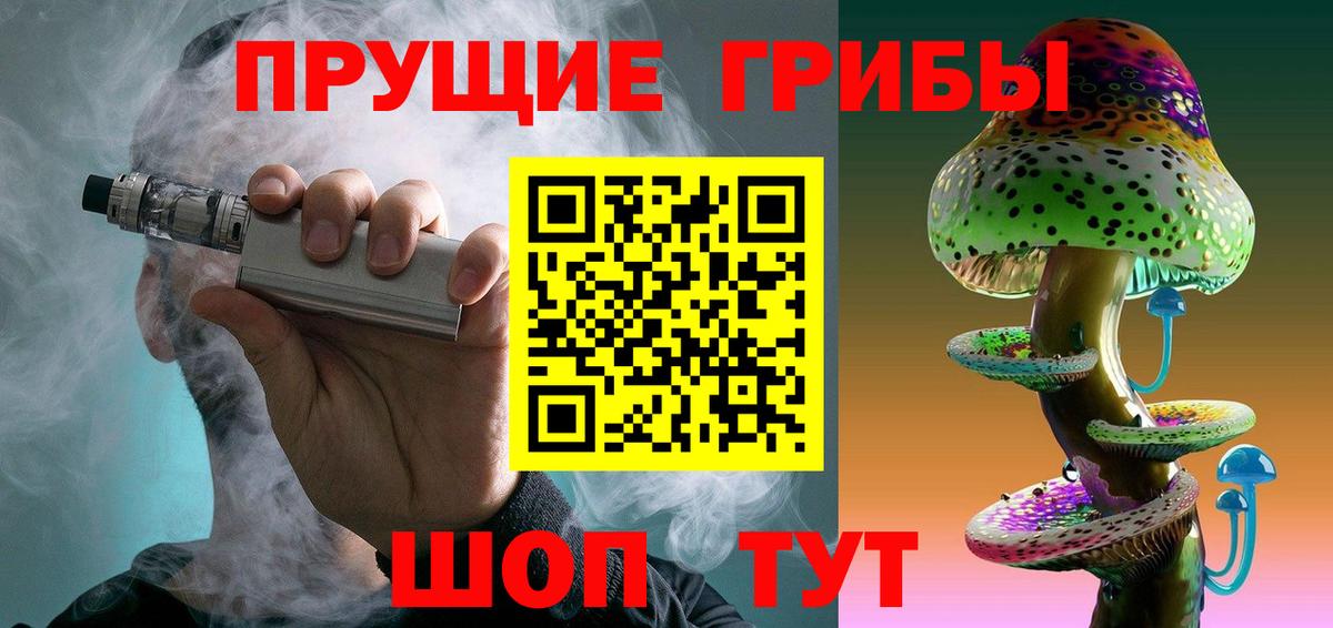 Псилоцибиновые грибы мухоморы  как найти закладки  Тында  Псилоцибиновые грибы ЛСД  Вход с VPN 