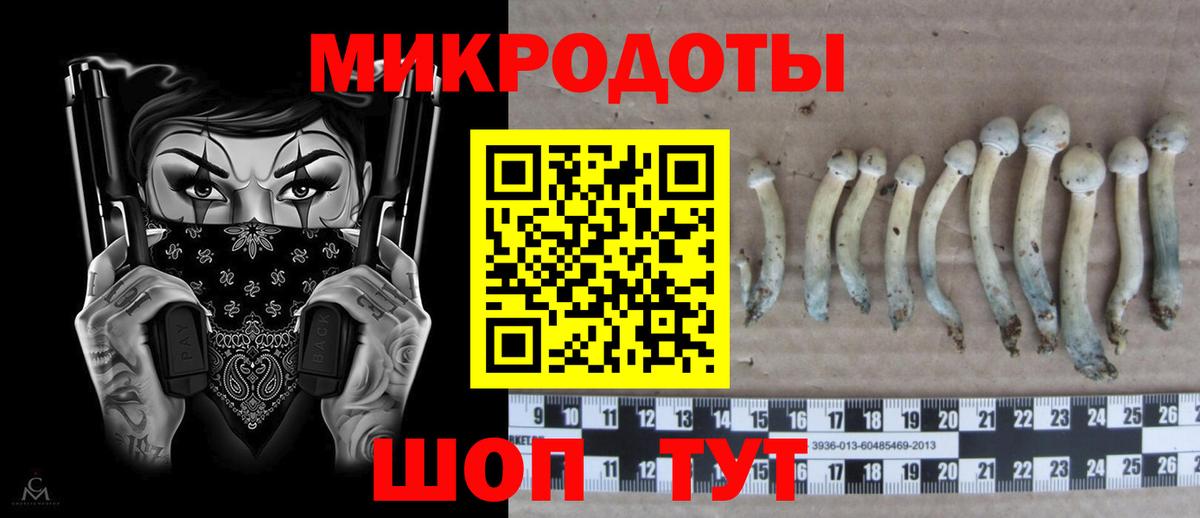 Псилоцибиновые грибы Cubensis Тында